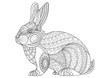 Coloring Page rabbit. Hand Drawn vintage doodle bunny vector ill