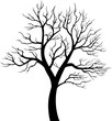 Tree silhouette on white background - detailed vector illustration