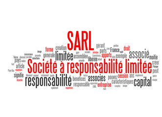 Wall Mural - SARL (Société à responsabilité limitée)