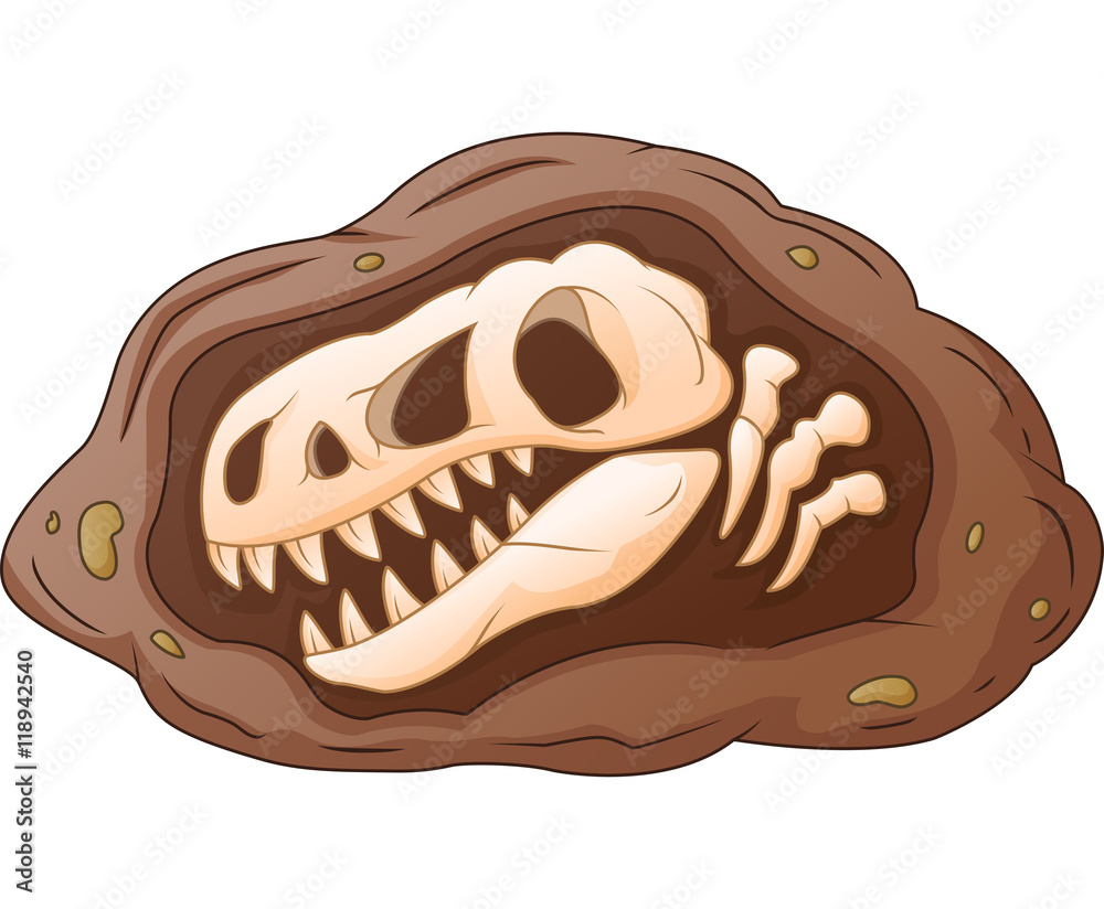 Cartoon head dinosaur fossil Stock Vector | Adobe Stock, image size:1000x824