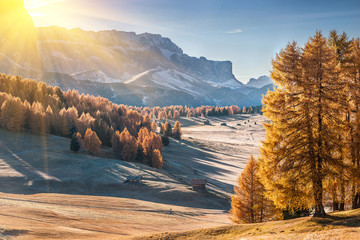 Wall Mural - mountan in alpe di siusi