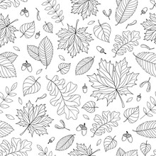 Autumn Seamless Pattern With Seeds And Leaves