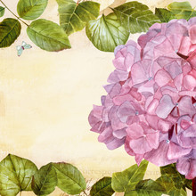 Vintage Collage With Watercolor Hydrangea Flower And Leaves
