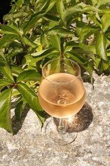 Poster - Verre de vin blanc devant une vigne