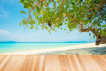 beach and tropical sea