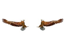 Two Eagle Landing - 3d Render