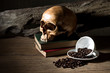 coffee bean in cup with human skull on old book