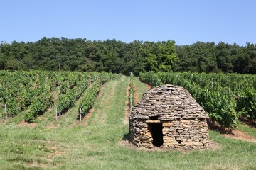 Wall Mural - Old and typical stone hut in the vineyards of Beaujolais, France 