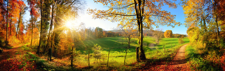 zauberhafte landschaft im herbst: sonniges panorama von ländlicher idylle