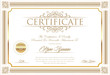 Certificate or diploma retro vintage design template