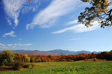 Poster - colorful autumn mountain and forest