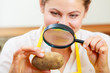 Woman inspecting potato with magnifying glass.