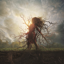 Woman Rooted Into The Ground