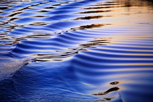 Ripples In The Wake