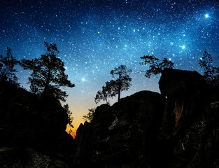 Wall Mural - the night sky on the background of mountains and trees.