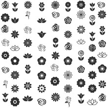 Flower Icon - Flower Pattern Seamless Vector Illustrator