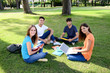 © W PRODUCTION - group of young students sitting together on green lawn high school university campus