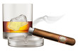 Whiskey glass with cigar and ashtray. Vector illustration.