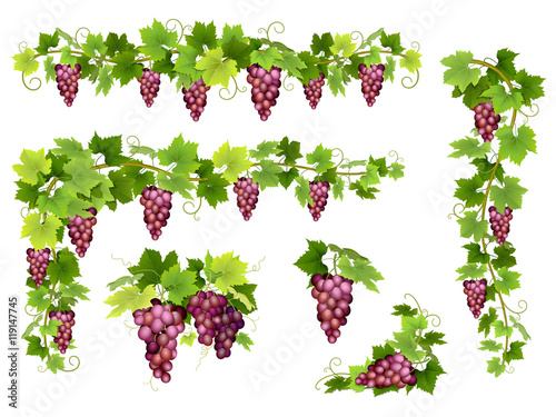 Set of bunches of red grapes Tableau sur Toile