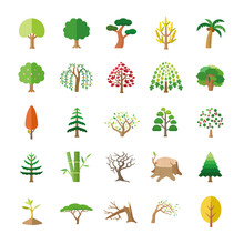 Trees Color Vector Icons