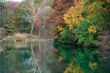 Wall Mural - Pond In Autumn