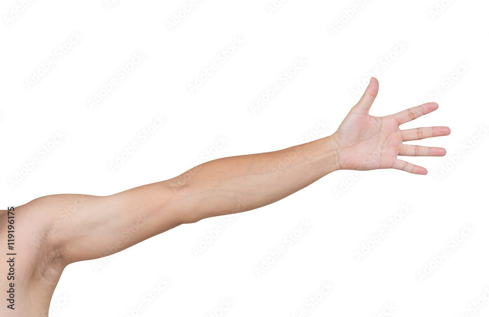 Man shoulder and arm isolated on white background, clipping path - obrazy, fototapety, plakaty 