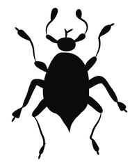 Canvas Print - beetle cartoon