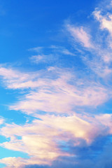 Wall Mural - sky