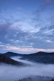 Fototapeta Góry - Pfälzer Wald im Nebel