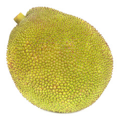 Poster - Jackfruit