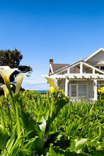 Lush Flowers In The Foreground Of A Classic Vintage Beach Cottage