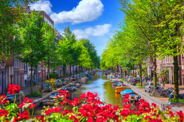 Wall Mural - canal in amsterdam