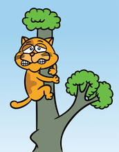 Cat Stuck Up The Tree Cartoon Illustration