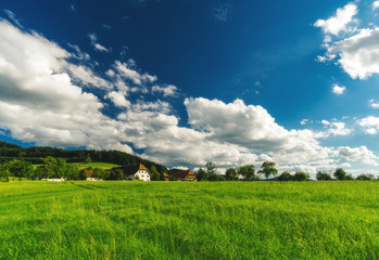 Wall Mural - Scenic countryside landscape: green summer mountain valley with forests, fields and old houses in Germany, Black Forest