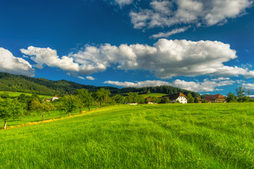 Wall Mural - Scenic countryside landscape: green summer mountain valley with forests, fields and old houses in Germany, Black Forest