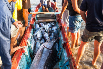 Wall Mural - Fishing