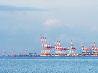 Seaside cranes