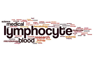 Canvas Print - Lymphocyte word cloud