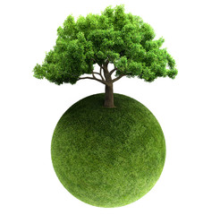 Poster - green tree and Earth 3D rendering