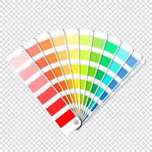 Color Palette Guide On Transparent Background