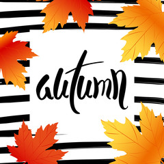 Wall Mural - fall sale poster design with custom caligraphy