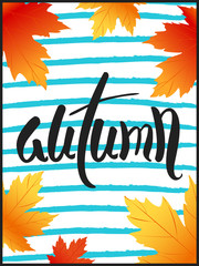 Wall Mural - fall sale poster design with custom caligraphy
