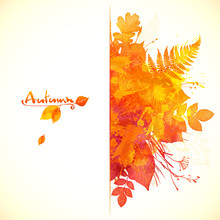 Watercolor Painted Red Autumn Foliage Banner Design