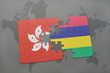 puzzle with the national flag of hong kong and mauritius on a world map background.