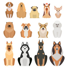  Vector illustration of different dogs breed isolated on white background. Flat dogs breed vector icon illustration, flat dogs breed isolated vector. Dog breed flat silhouette