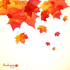 Wall Mural - Watercolor painted orange maple leaves autumn background