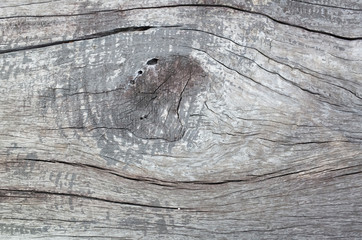 wooden texture background