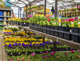 Home and garden store in spring