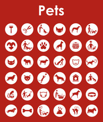 Wall Mural - set of pets simple icons