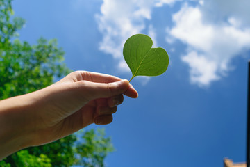 hand with hart leaf